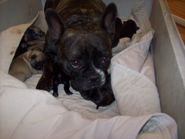 babygirl2mom_chelsea